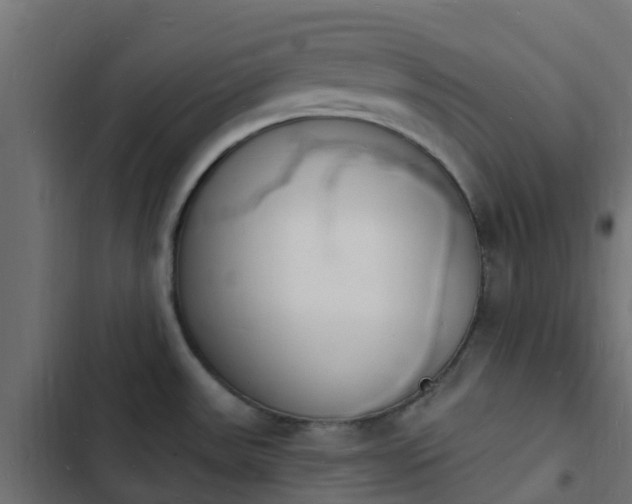 X0000103971531200809261822