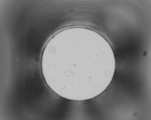 X0000103971532200809261822