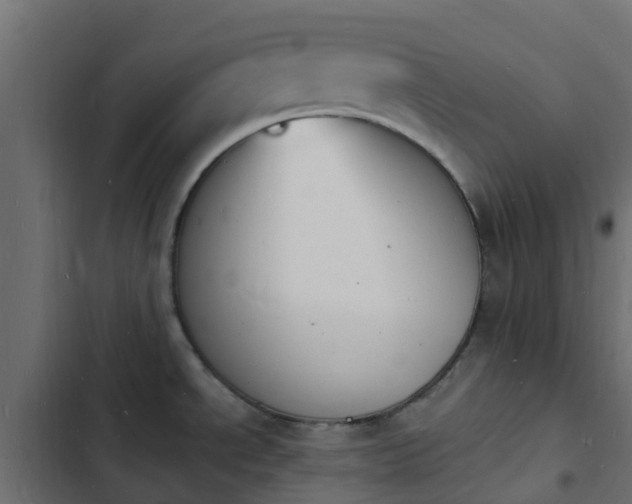 X0000103971534200809261822