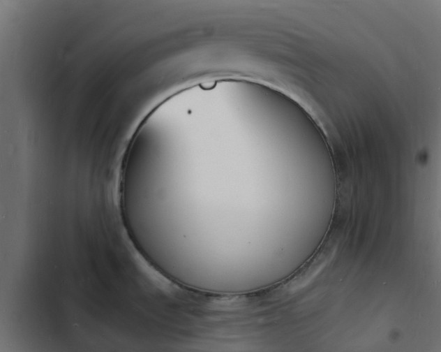 X0000103971535200809261822