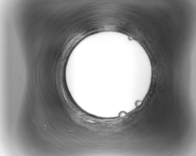 X0000103970001200810031233