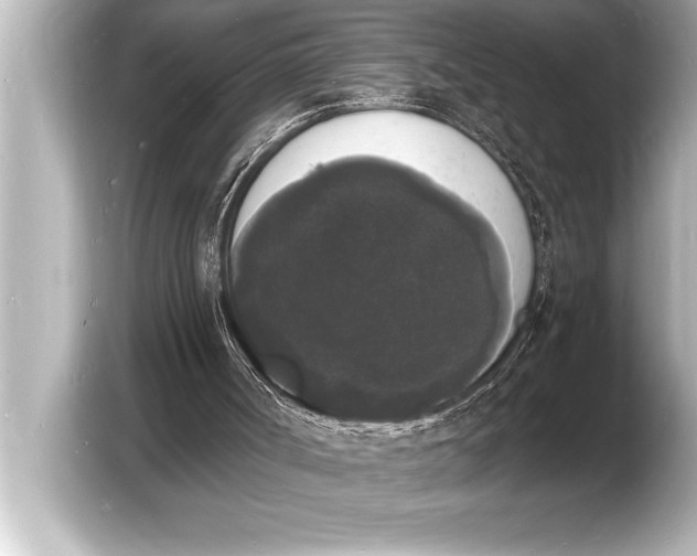 X0000103970002200810031233