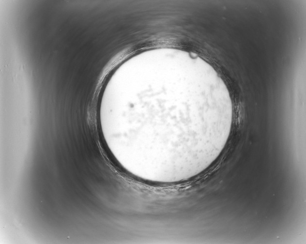 X0000103970004200810031233