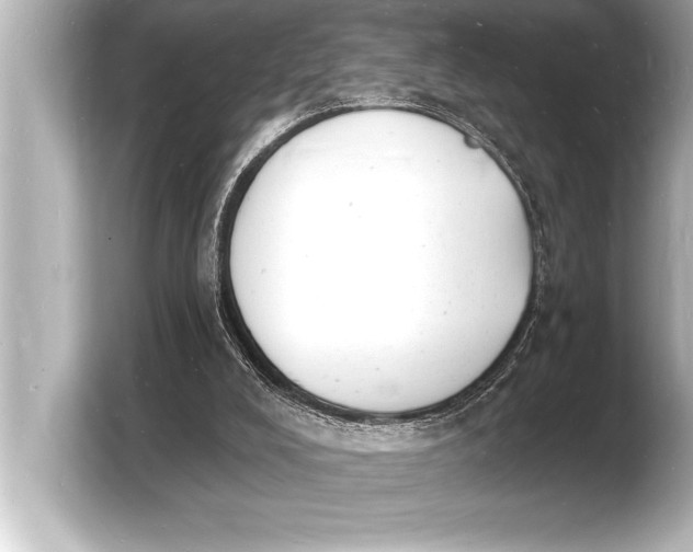 X0000103970008200810031233