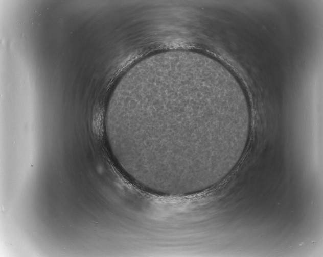 X0000103970009200810031233