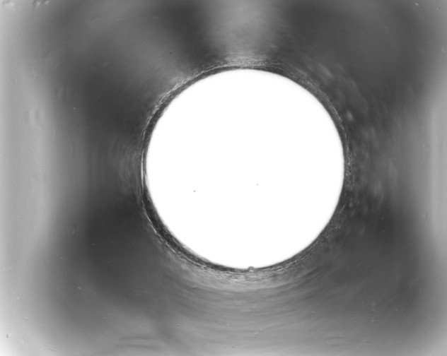 X0000103970011200810031233