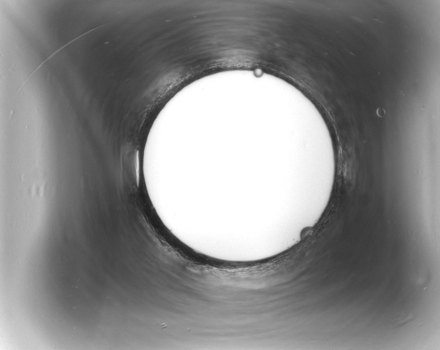 X0000103970013200810031233