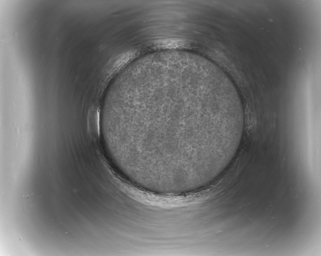 X0000103970014200810031233