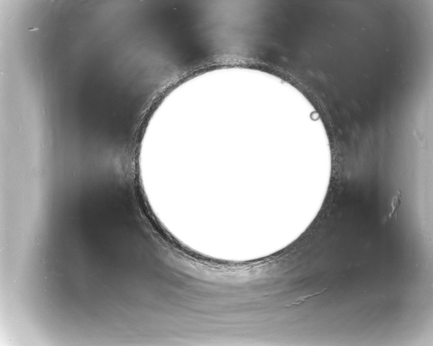 X0000103970015200810031233