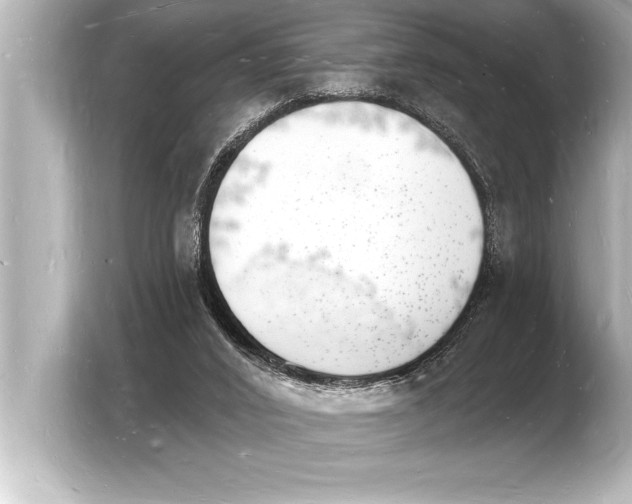 X0000103970016200810031233