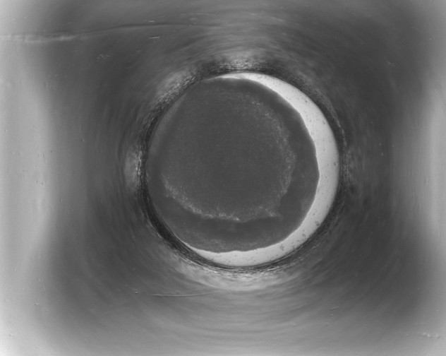 X0000103970018200810031233