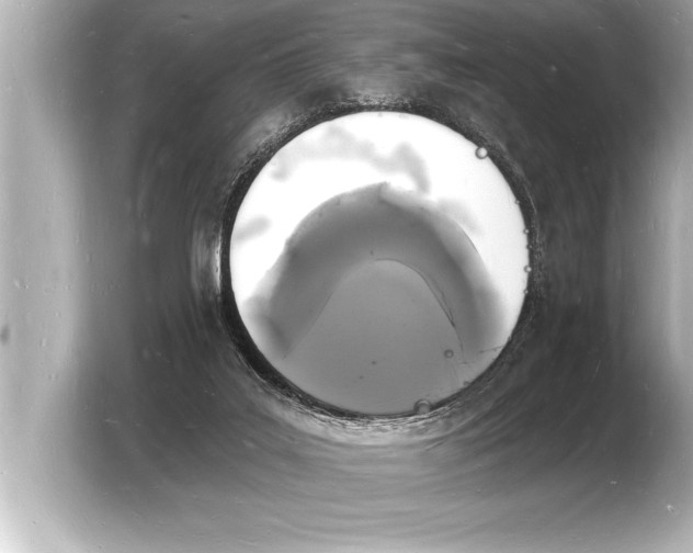 X0000103970019200810031233