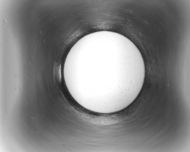 X0000103970020200810031233