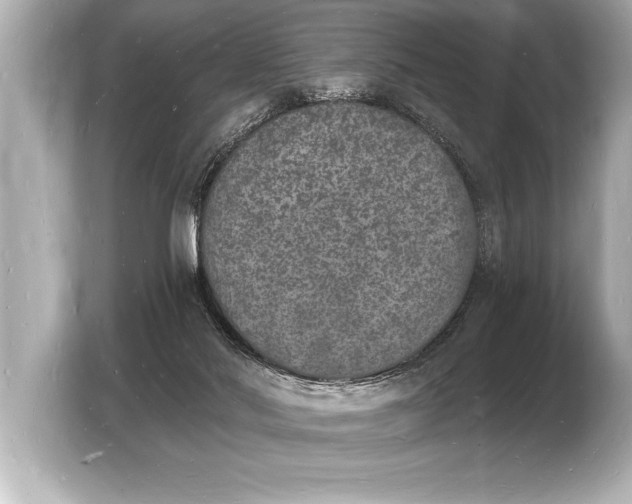 X0000103970022200810031233