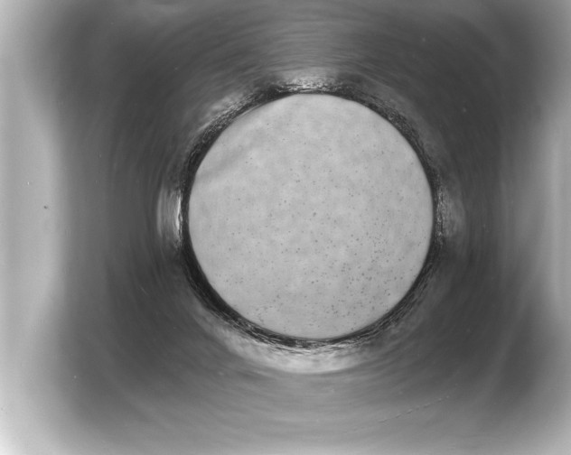 X0000103970024200810031233