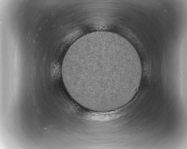 X0000103970029200810031233