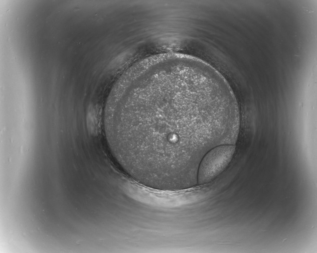 X0000103970030200810031233