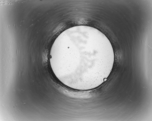 X0000103970032200810031233