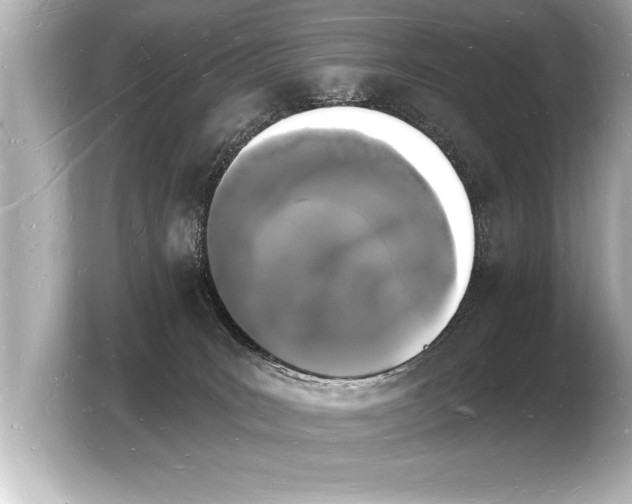 X0000103970035200810031233