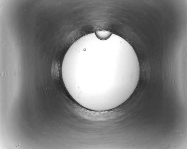 X0000103970038200810031233