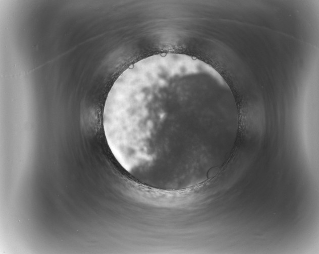 X0000103970043200810031233