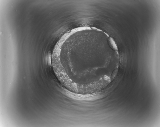 X0000103970046200810031233