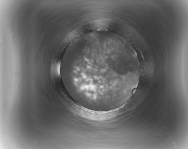 X0000103970047200810031233