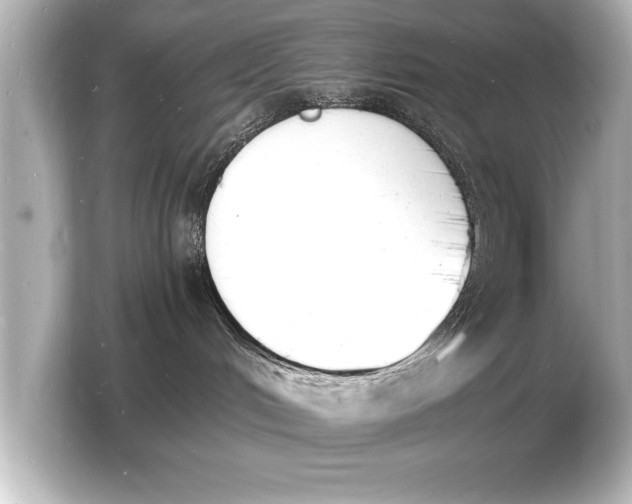 X0000103970048200810031233