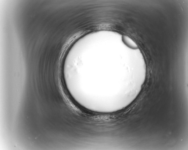 X0000103970049200810031232