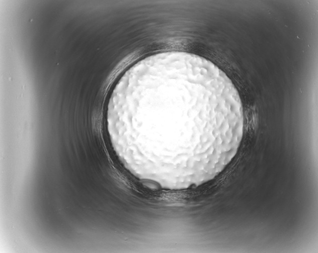 X0000103970051200810031232