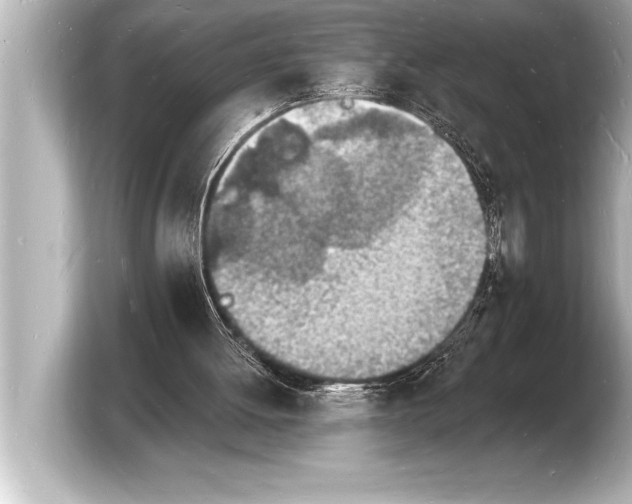 X0000103970052200810031232