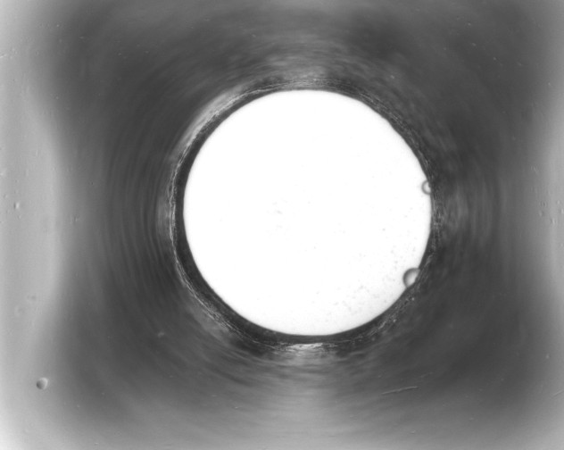 X0000103970054200810031232