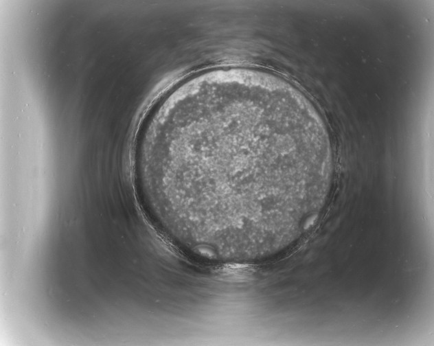 X0000103970055200810031232