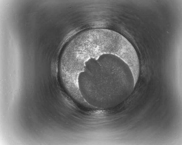 X0000103970059200810031232