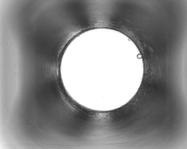 X0000103970060200810031232