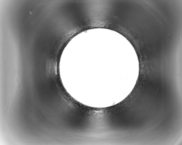 X0000103970068200810031233