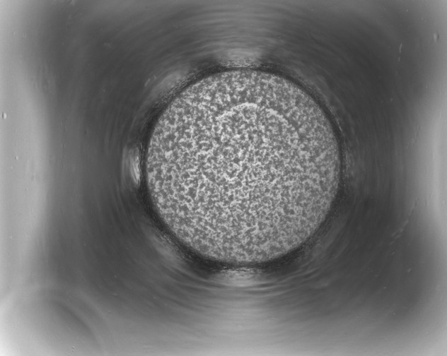 X0000103970069200810031233