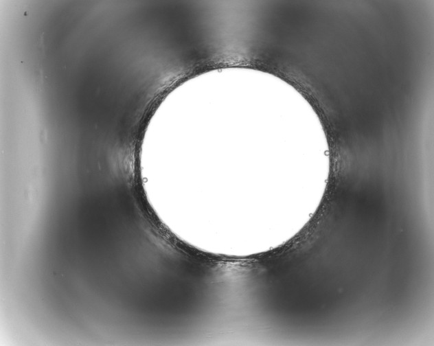 X0000103970072200810031233