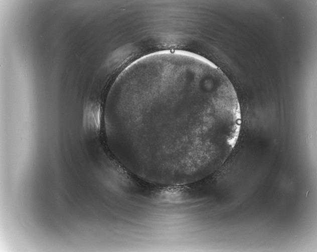 X0000103970076200810031233