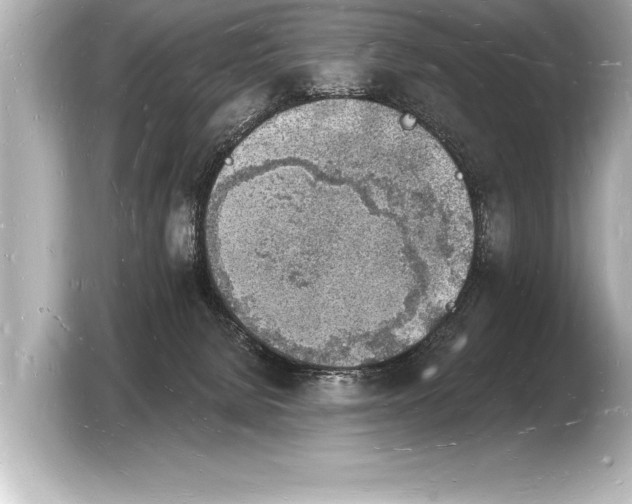 X0000103970080200810031233