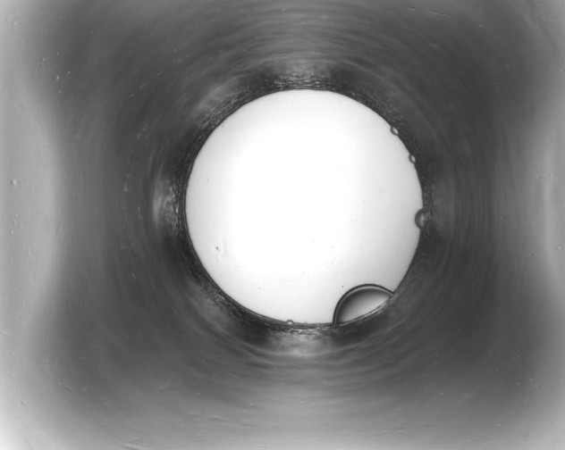 X0000103970086200810031233