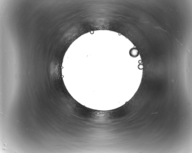 X0000103970088200810031233