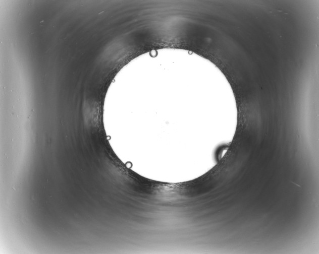 X0000103970092200810031233