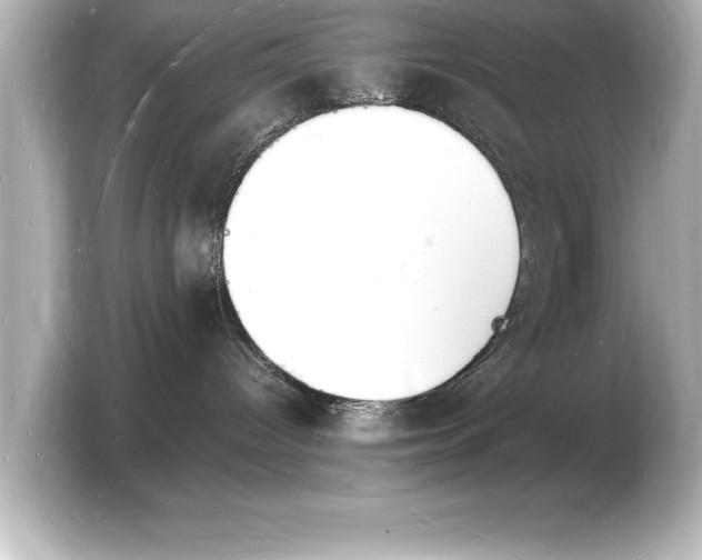 X0000103970096200810031233