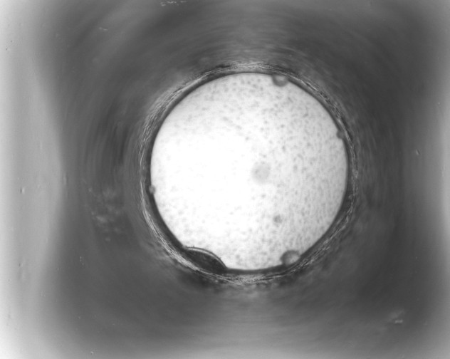 X0000103970097200810031232