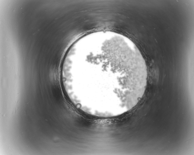 X0000103970100200810031232