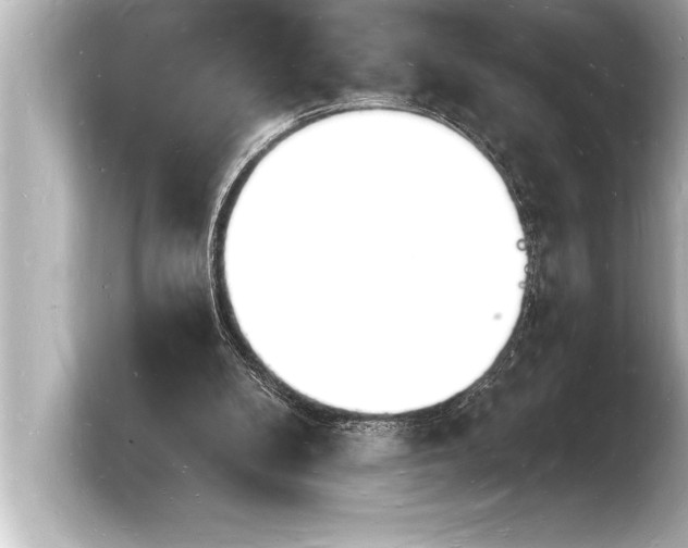 X0000103970104200810031232