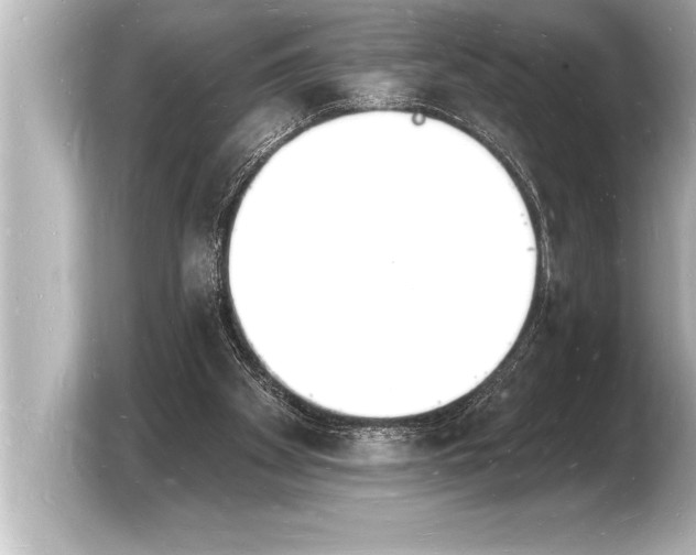 X0000103970105200810031232