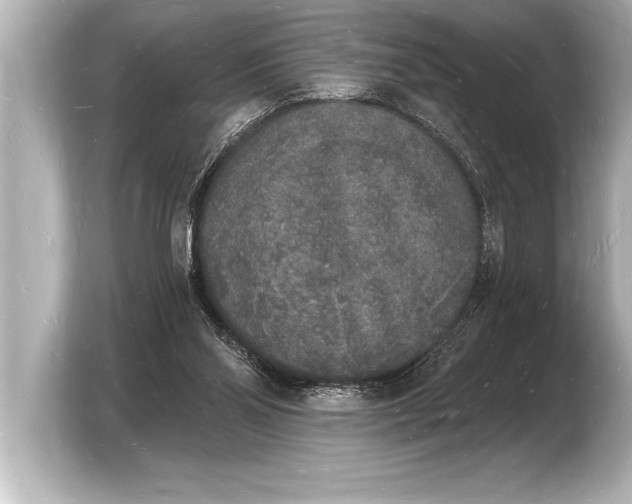 X0000103970110200810031232