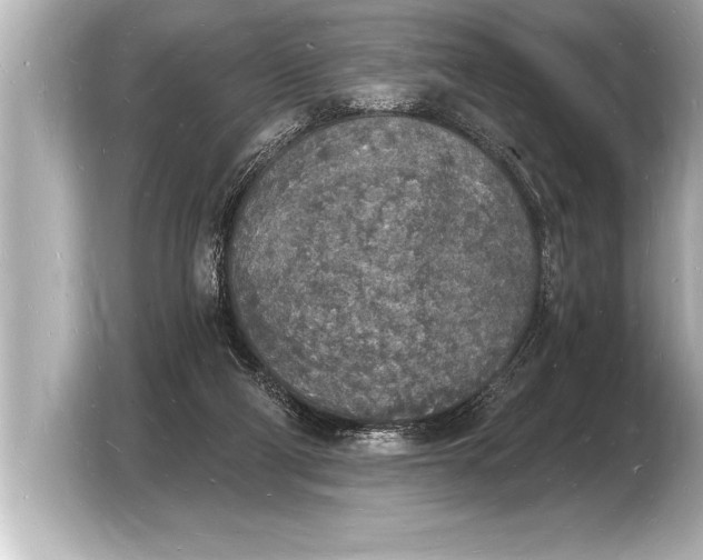 X0000103970114200810031232